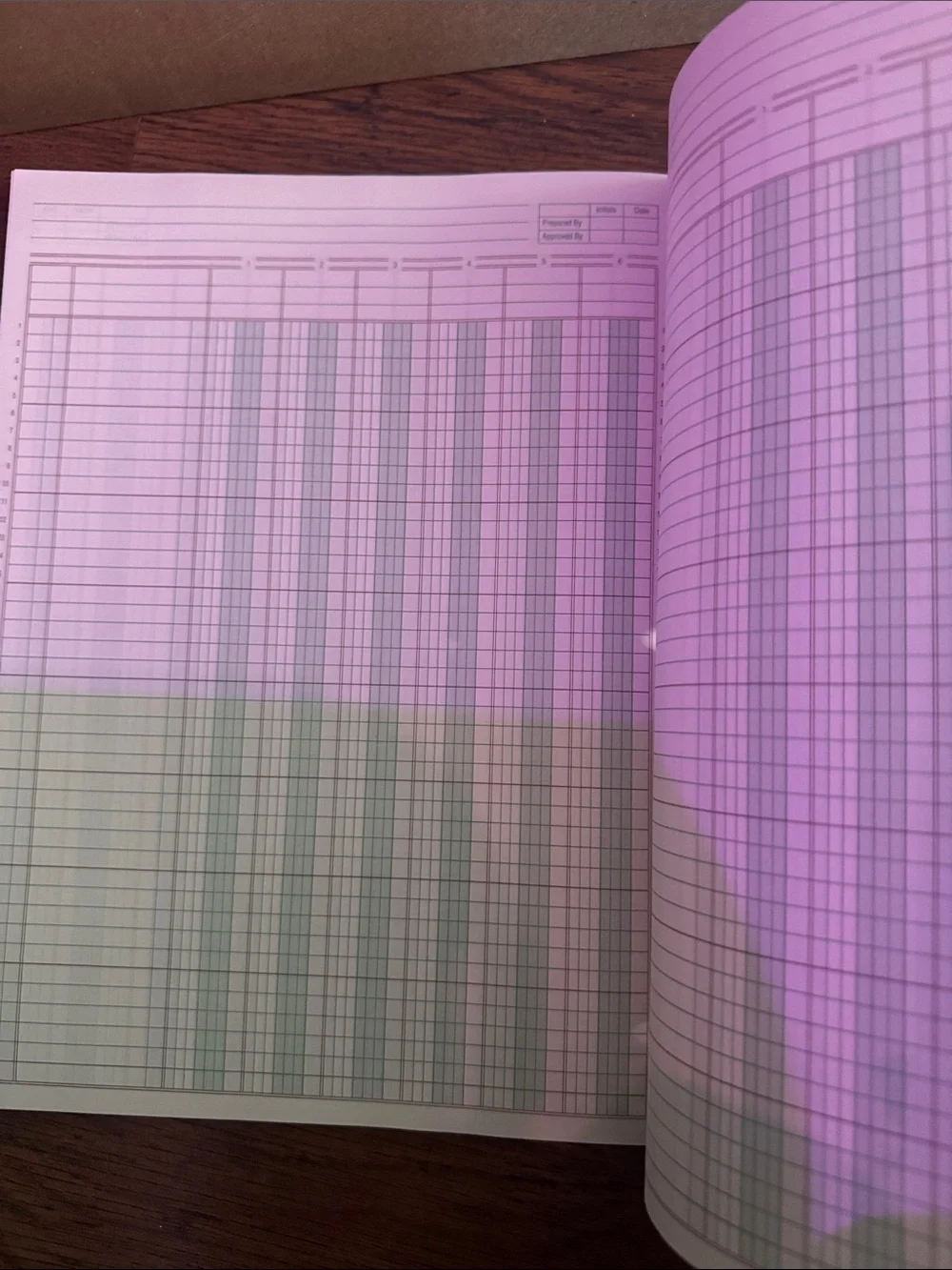 Blue & White Columnar Pad - 6 Column, 50 Sheets C1.RBk.M